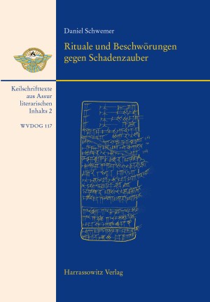 Ausgrabungen der Deutschen Orient-Gesellschaft in Assur: E: Inschriften. IX Keilschrifttexte aus Assur literarischen Inhalts