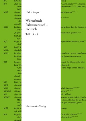 Wörterbuch Palästinensisch – Deutsch