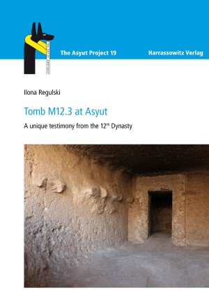 The Asyut Project